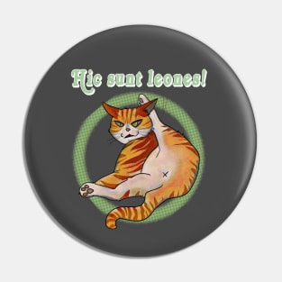 Hic sunt leones! Lazy ginger cat Pin