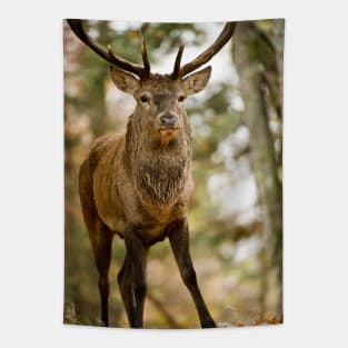 Elk Tapestry