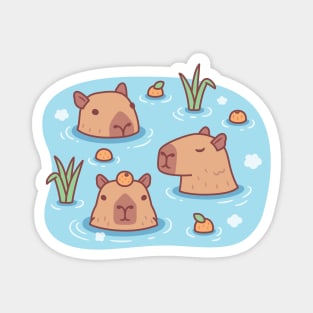 Cute Capybaras Chilling In Hot Spring With Oranges Magnet