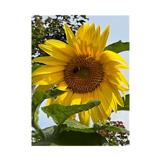 Sunflower T-Shirt