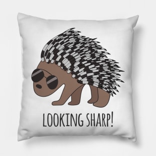 Looking Sharp- Porcupine Pillow