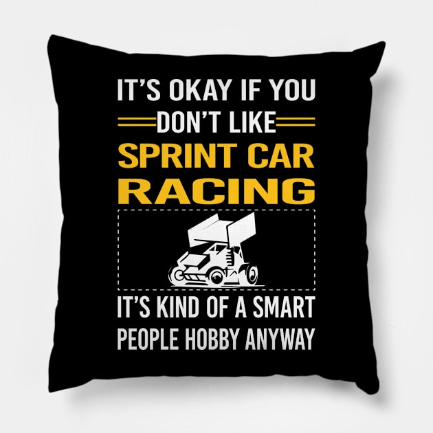 Funny Smart People Sprint Car Cars Racing Pillow by relativeshrimp