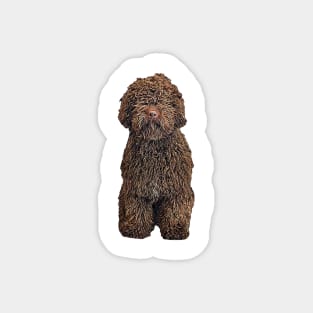 Spanish Water Dog Magnet