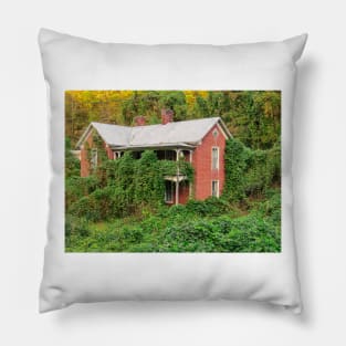 More Kudzu Pillow