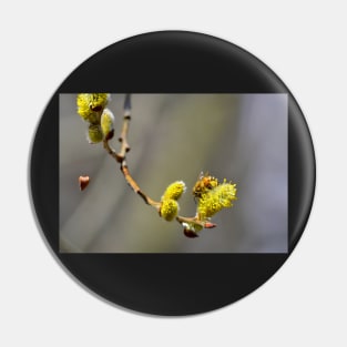 Gathering pollen Pin