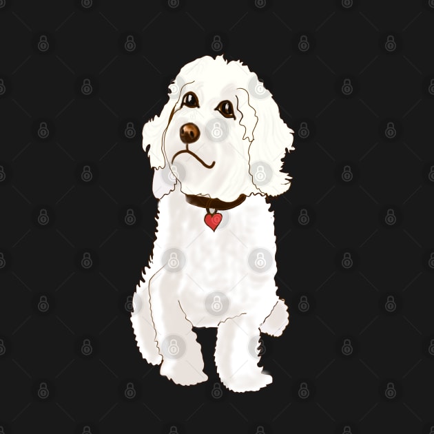 Cavapoo Cavoodle  Cavapoochon white doodle - cute cavalier King Charles spaniel Bichon frise by Artonmytee