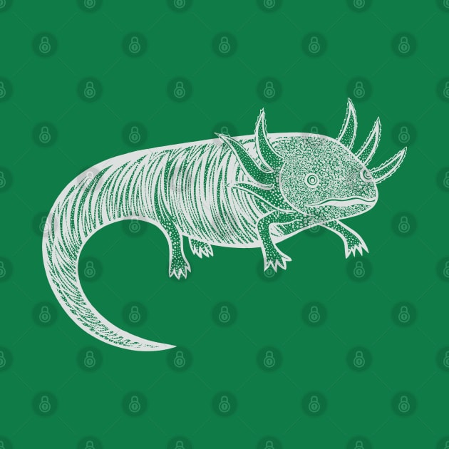 Axolotl - detailed hand drawn animal design by Green Paladin
