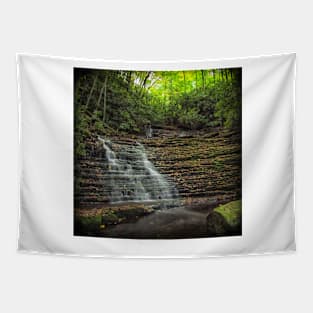 Upper Mill Creek Tapestry