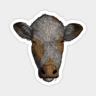 Cow Magnet