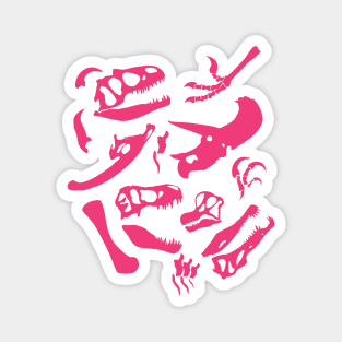 Dinosaur Bones (Pink) Magnet