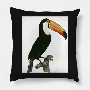 Toco toucan from Histoire Naturelle des Oiseaux de Paradis et Des Rolliers Pillow