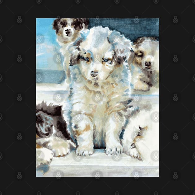 Australian Shepherd Puppies by Miriam Steinau