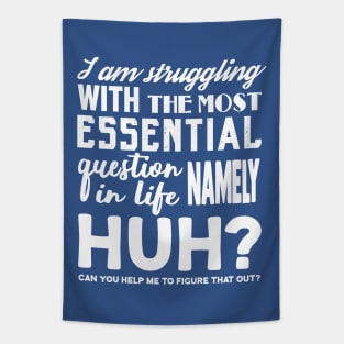 I am struggling with the most essential question in life, namely HUH? Tapestry