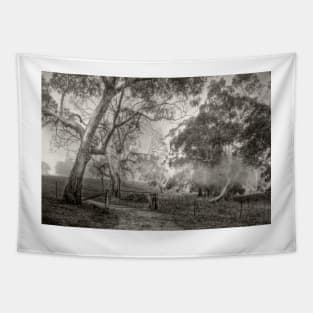 Misty Morning, Adelaide Hills, South Australia Tapestry