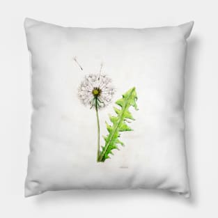 Dandelion with dandelion Pillow