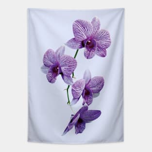 Cascade of Purple Orchids Tapestry