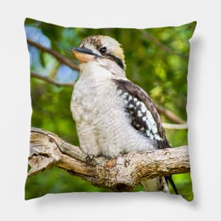 Laughing Kookaburra Pillow