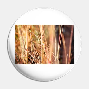 Nature in abstract - dry grass with delicate small blue flower Pin