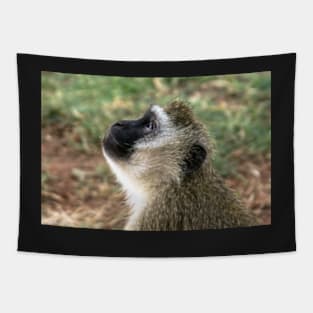 Monkey Smiling Tapestry