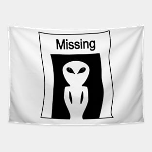 Missing Person Tapestry