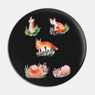 Playful Cute Foxes Pin