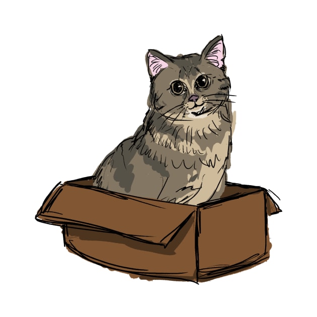 kitty in a box by bethepiano