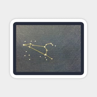 The Constellation of Leo Magnet