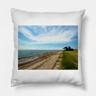 Florida Rest Area Pillow