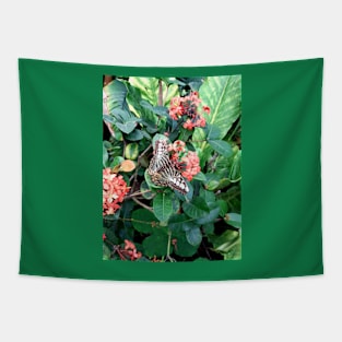 Parthenos sylvia, the clipper butterfly on a flower wildlife Tapestry