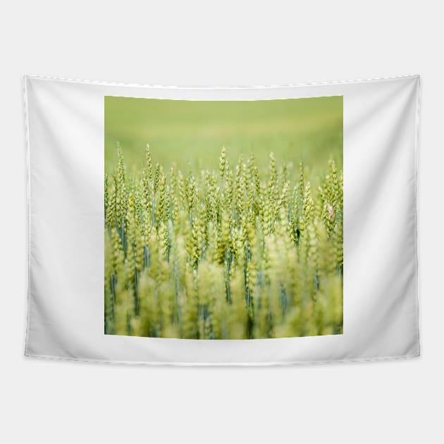 Common Wheat Tapestry by ansaharju