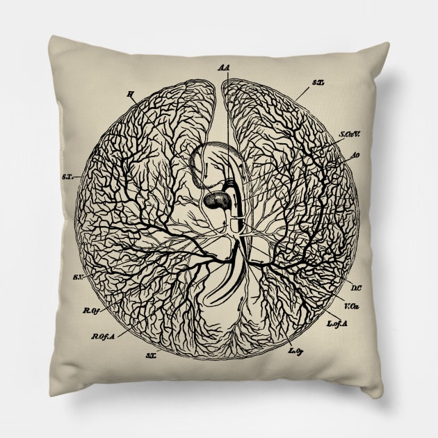 Blood Vessels of a Chicken's Egg - dark version Pillow by metaphysical