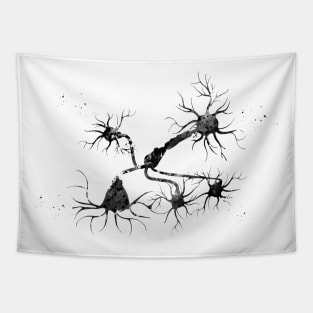 Neurotransmitter release mechanisms Tapestry