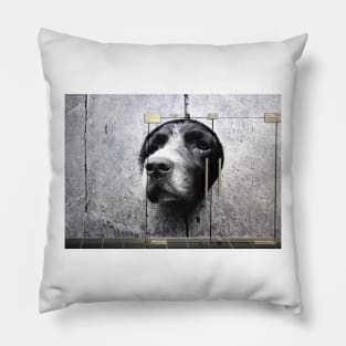 DOGS ARE NOT JUST FOR CHRISTMAS Pillow