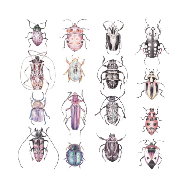 Beetles in Pinks Purples Black and White by wanderinglaur
