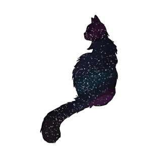 Galaxy Cat T-Shirt