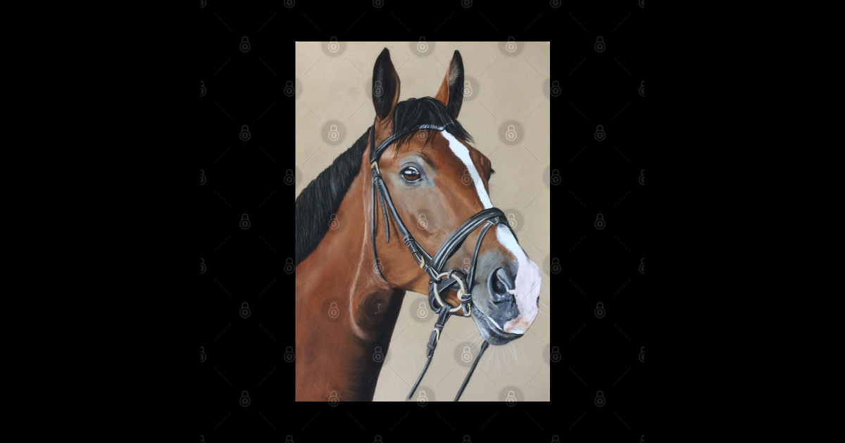 "Zelmi" by Zelmi Fine Art Horse Sticker TeePublic