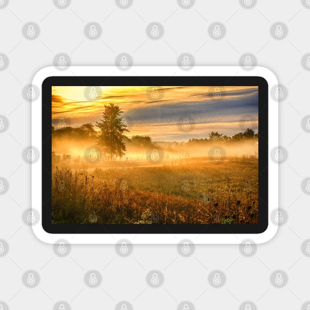 Morning Mist Over Country Road Magnet by Robert Alsop