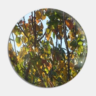 Autumn leaves - 1 Pin