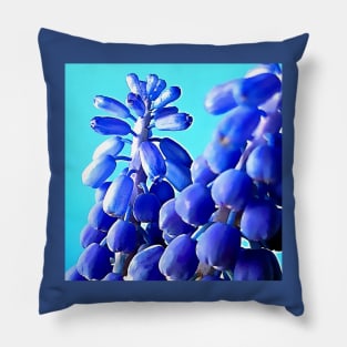 Muscari Grape Hyacinth Pillow