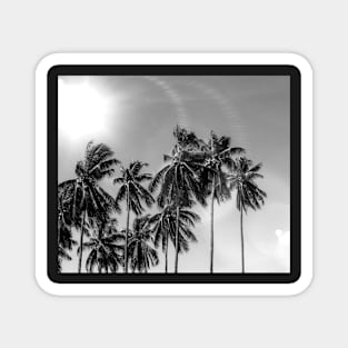 Palmtrees black&white Magnet