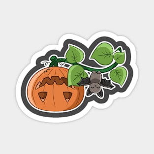 Bat's Jack O Lantern Magnet