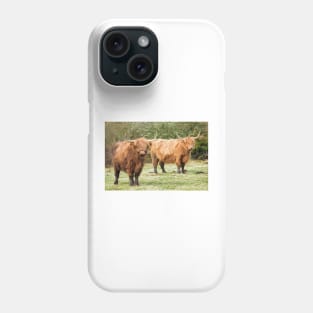 Highland Cows Coos Shaggy Moos Cattle Photo Phone Case