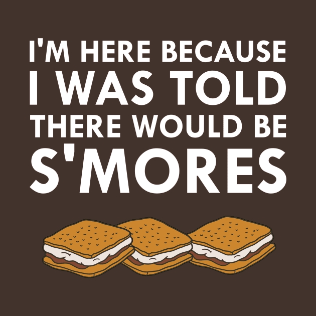 I Was Told There Would Be S'Mores Camping by FlashMac