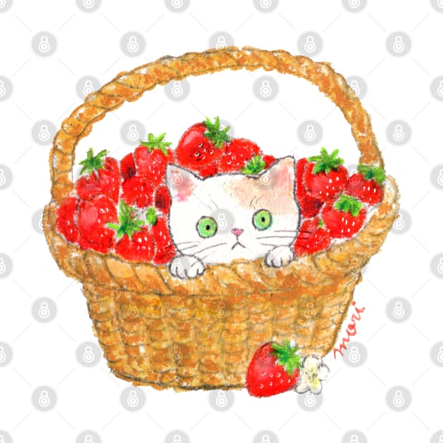 Cat Basket by colorofmori