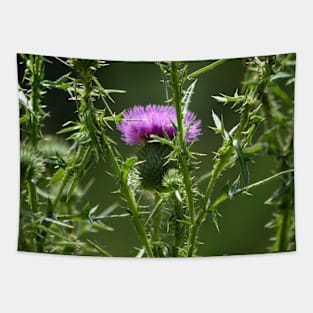 Thistle Tapestry