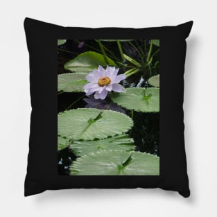 Lilac Waterlily Kew Gardens Pillow