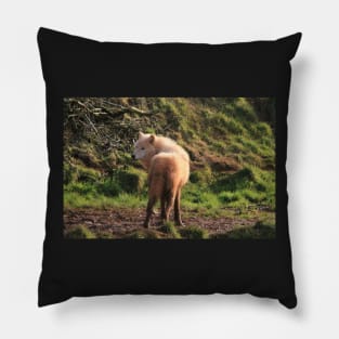 Don`t Turn Around Pillow