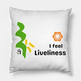 Sacral Chakra's Mantra 2 Pillow