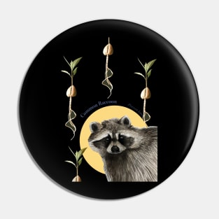 Raccoon Pin