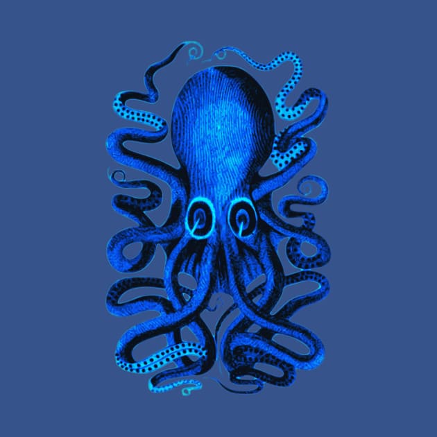 Blue Octopus by MMROB